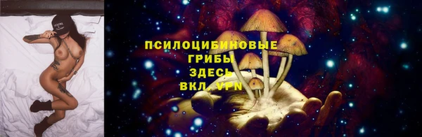 2c-b Алзамай