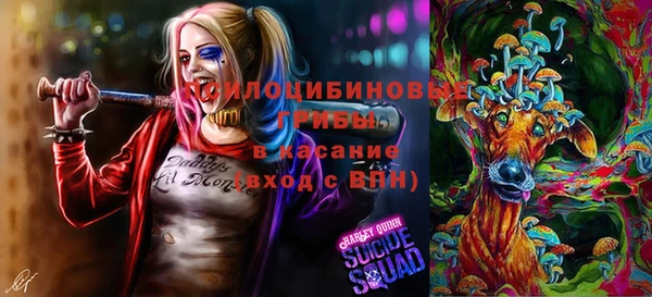 бошки Алексин