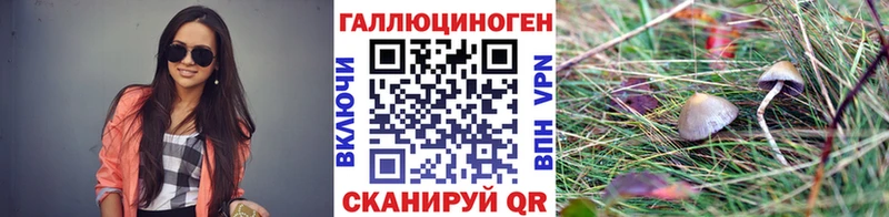Купить закладки  Усть-Джегута  Псилоцибиновые грибы мухоморы 